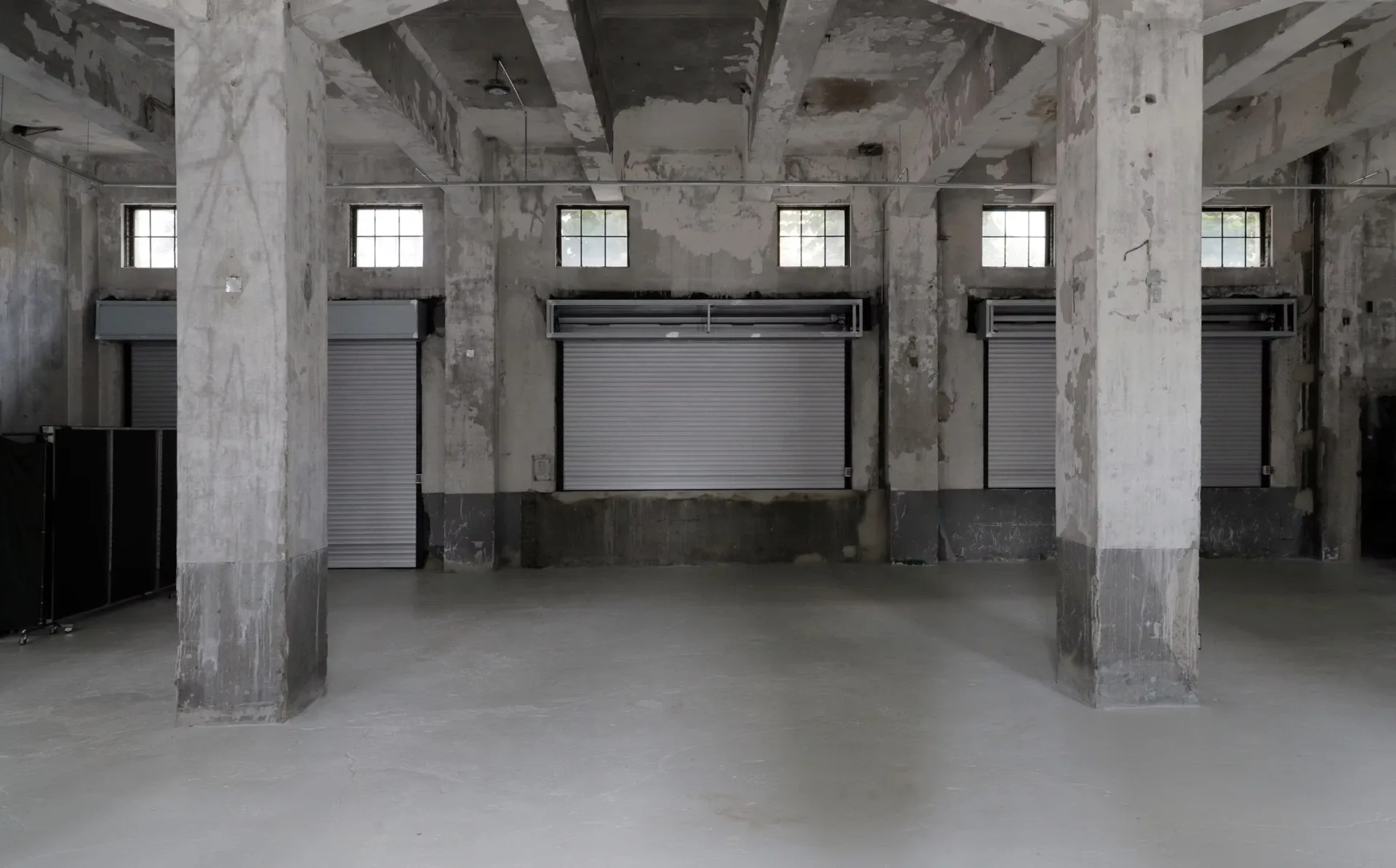 Layer Studio 20 19