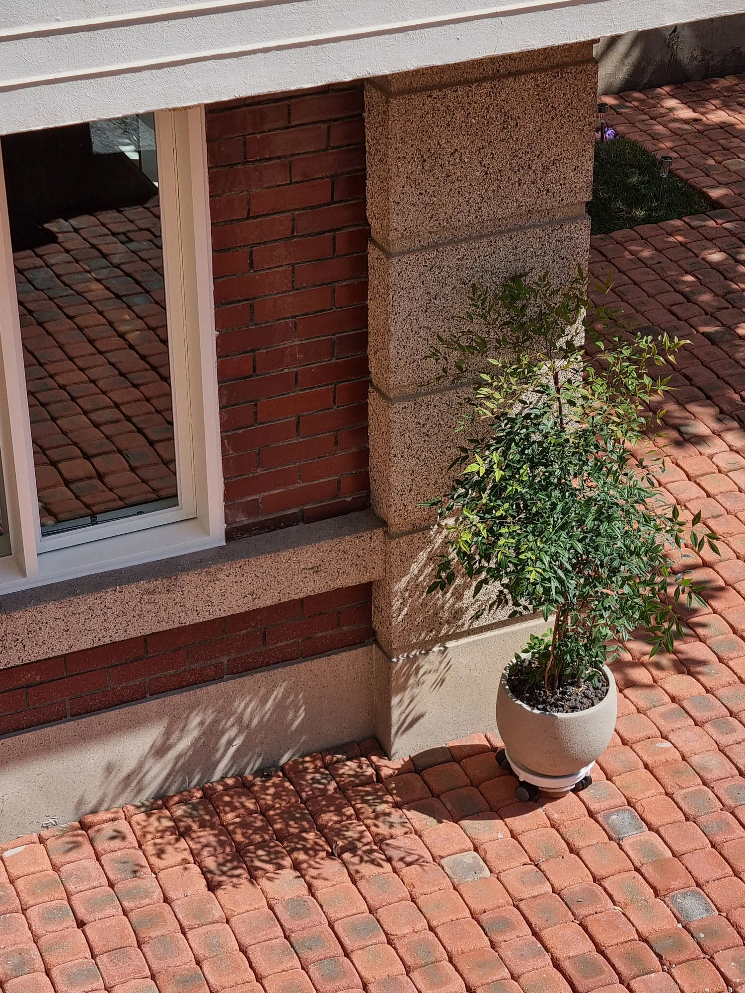 Facade Studio 16