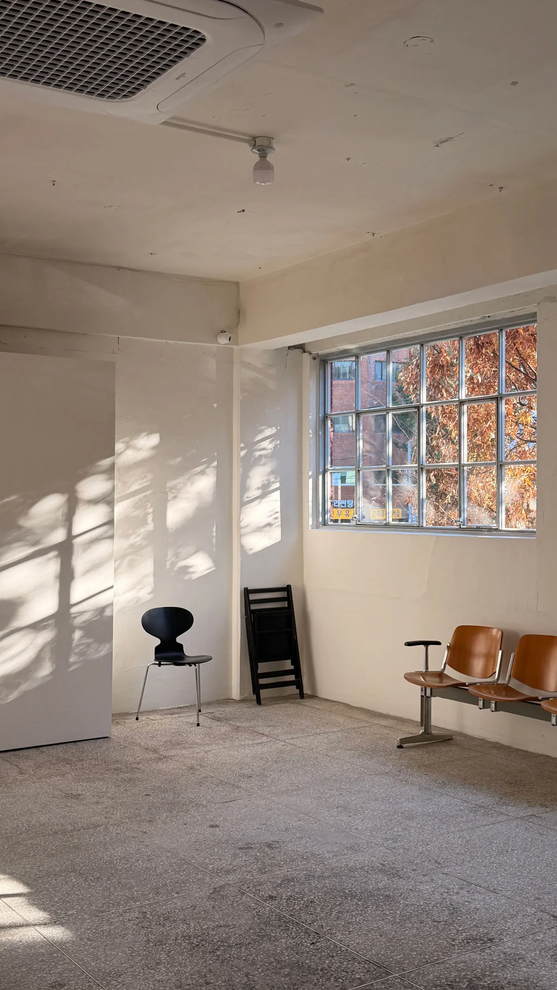 Pealhap Studio 2