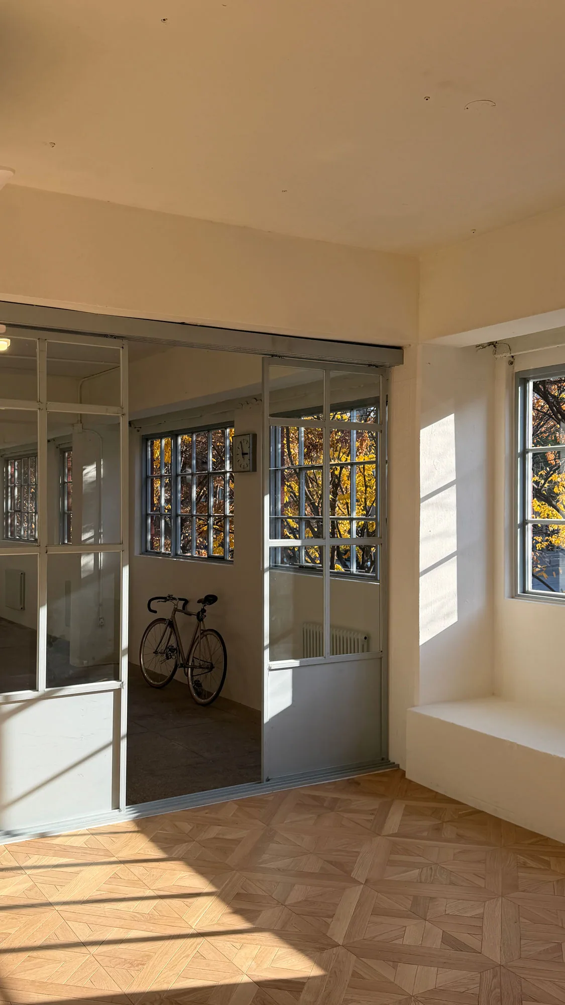 Pealhap Studio 10